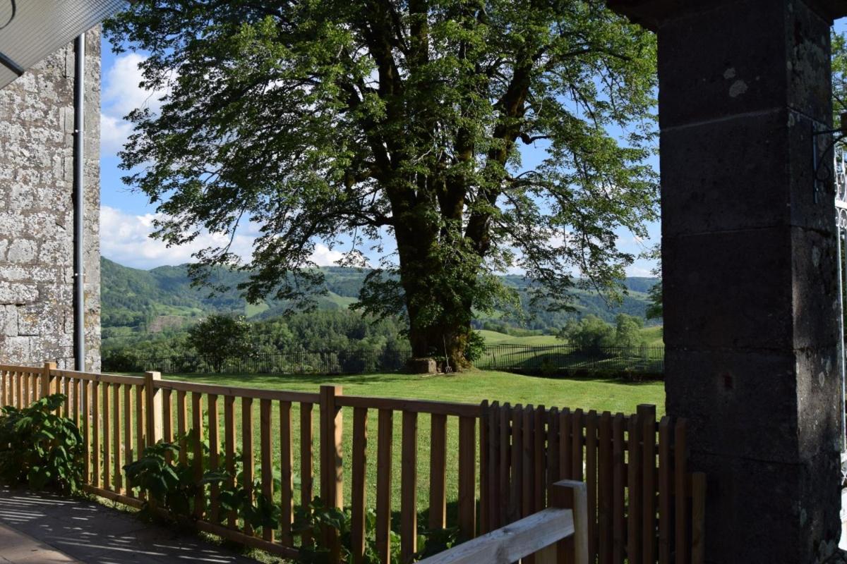 Gite 4 Personnes Dans Le Cantal Animaux Bienvenus Lascelle Eksteriør billede